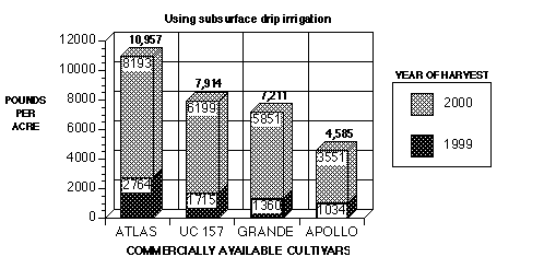 Graph Image