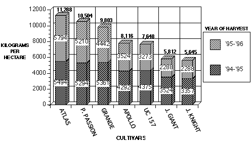 Graph Image