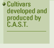 Cultivars developed and produced by C.A.S.T.