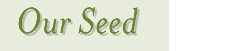 Our Seed